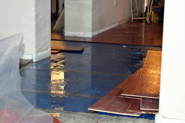 Professional Burst Pipe Cleanup technician working in Edinburg, TX